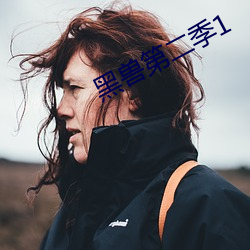黑兽第二季1