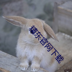 精(精)东官网下(下)载(載)