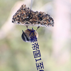 金年会(中国)官方网站