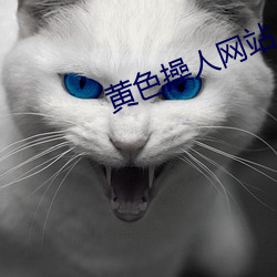 黄色操人网站
