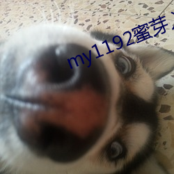 my1192蜜芽入口