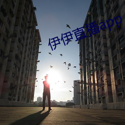 伊伊直播app