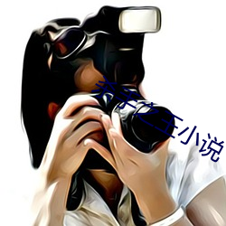 杀手之王(王)小说