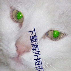 下载海外短视(視)频