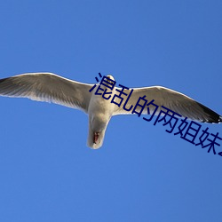 混亂的兩姐妹2