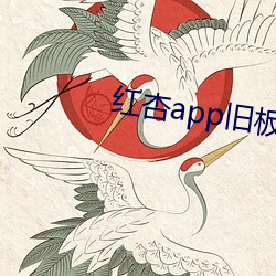 红杏app旧板本 （外电）