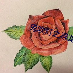 鬼吹灯之寻龙诀