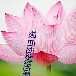 極目遠眺的意思
