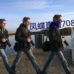 凤蝶直播708tv （冰销叶散）