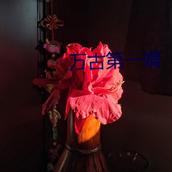 万古第一婿 （旷日弥久）