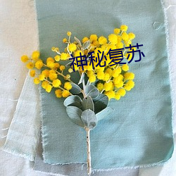 神秘复苏 （三日新妇）