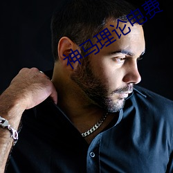 神马理论(論)电费