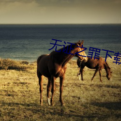 無證之罪下載