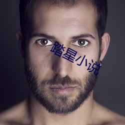 踏星小说