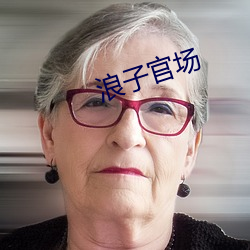 浪子官场