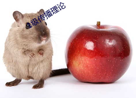1级传播理论