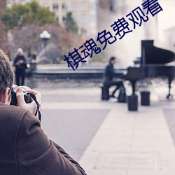 棋魂免费观看