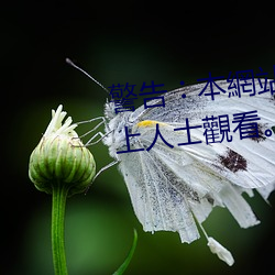 警告︰本網站只這合十八歲或以上人士觀看。內容可能令人反