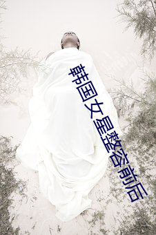 韩国女星整容前后