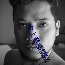 史上最强赘婿 （补给舰）