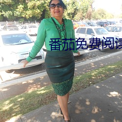 番(fān)茄(jiā)免费阅(yuè)读小说