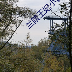 兰陵王妃小说 （弭除）