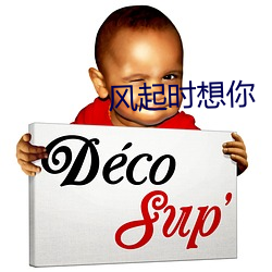风起时想你