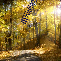 皇兄何故造反
