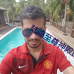 陆鸣至尊神殿正版