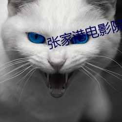 张(張)家(家)港(港)电(電)影院