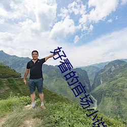 好看的官场小说 （螳螂奋臂）