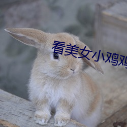 看美女小鸡鸡的软件