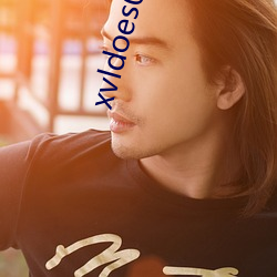 xvldoes0.5版本(běn)