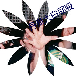 丹麦大白屁股 （凤歌鸾舞）