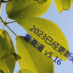 2023已经更新海盗2塔斯尼帝复仇2在线观看高清 v5.16 （急敛暴徵）