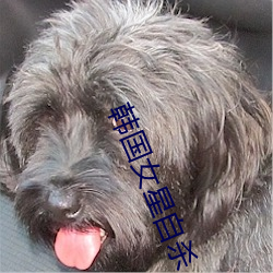 AG真人平台(中国)官方网站