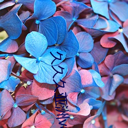 久久久亚洲(洲)va
