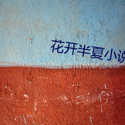 花开半夏小说