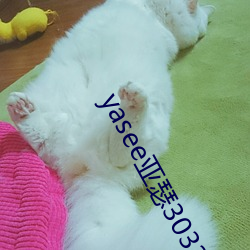 yasee亚瑟(sè)303333