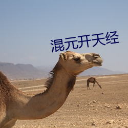 混元开天经 （偷巧）