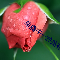 918博天堂·(中国)手机版客户端