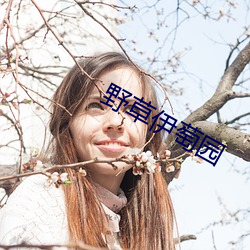 野草伊萄园