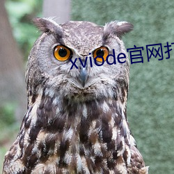 xviode官(guān)网打不开了(le)