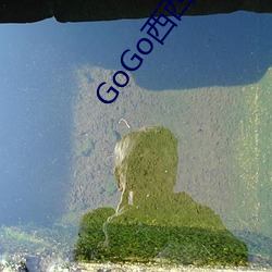 GoGo西(西)西人(人)体艺术大胆大尺(尺)度(度)