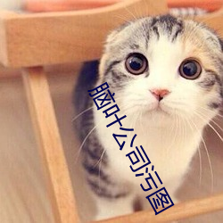 脑(nǎo)叶公司污图