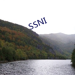 SSNI