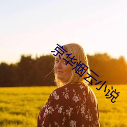 京华烟(yān)云(yún)小(xiǎo)说