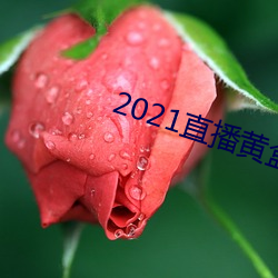 2021直播黄盒子 上行下效）