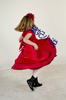黛妃小说