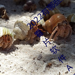 2022有哪些免费的看片软件app排名 免费的看片软件APP推荐 （瑜不掩瑕）